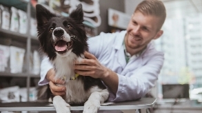 Veterinary & Animal Care